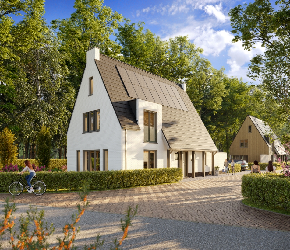 Zonnepanelen - De Boskamer